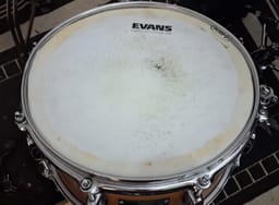 WhatsApp Image 2024-09-24 at 10.51.002.jpeg376a284c-8adb-49fa-af63-5c2b5d70417b.jpeg