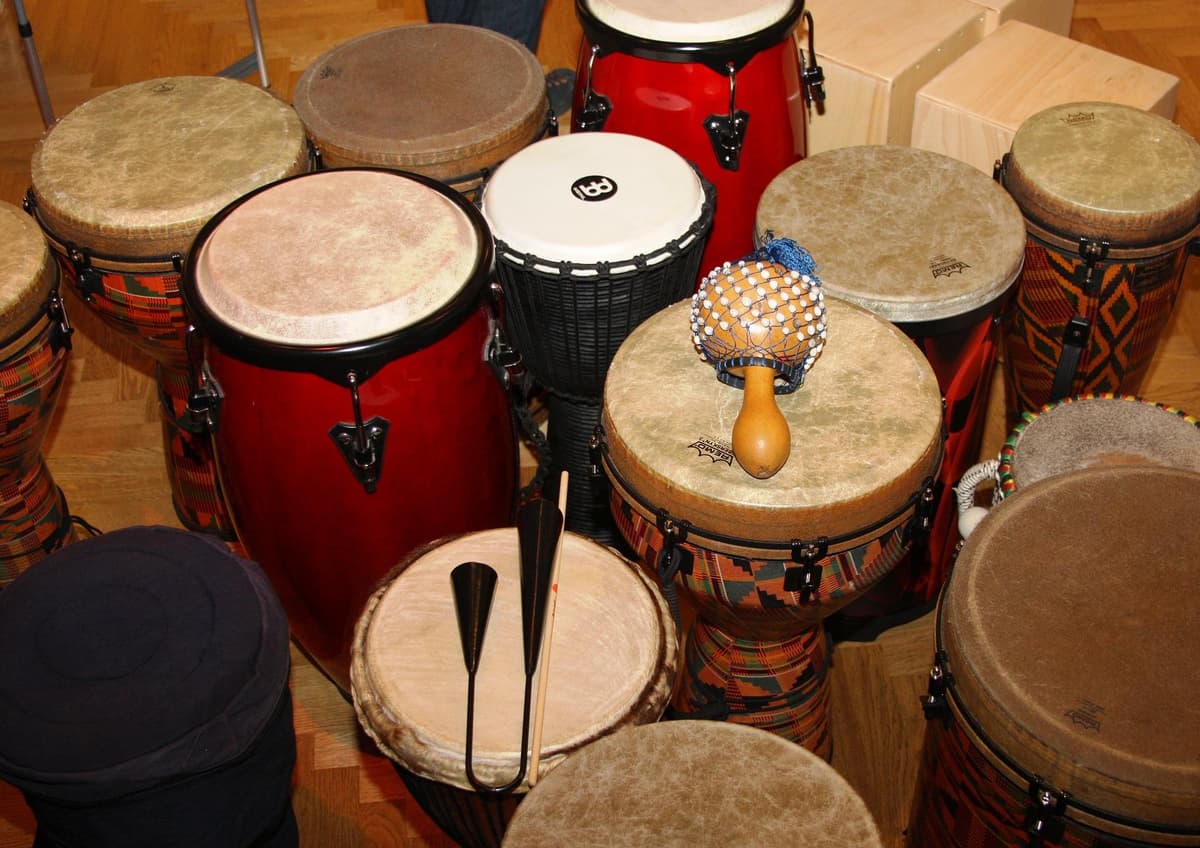 Guia Completo de Percussão: Tudo que Você Precisa Saber